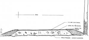hannulomateria